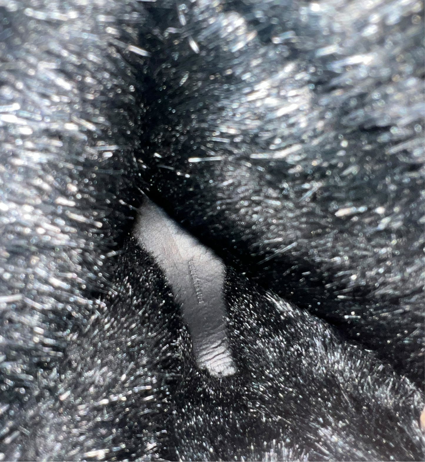Balenciaga Alaska Fur Boots